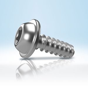 Für besonders anspruchsvolle Anwendungen fertigt Arnold Umformtechnik die Remform II HS. Diese wird eingesetzt, wenn hoch belastbare Verschraubungen, eine hohe Vorspannkraft und eine hohe Lösesicherheit gefordert sind, so beispielsweise bei härteren, faserverstärkten Kunststoffen.(Bild:  Arnold Umformtechnik)