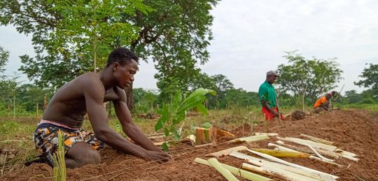 Nachhaltigkeit tut Not. Sie kann etwa durch Aufforstungsprojekte in Afrika unterstützt werden, aber auch durch andere Vorgehensweisen. Am besten beides. Wie man das unter einen Hut bekommt, verrät dieser Beitrag. Nachhaltigkeit tut Not. Sie kann etwa durch Aufforstungsprojekte in Afrika unterstützt werden, aber auch durch andere Vorgehensweisen. Am besten beides. Wie man das unter einen Hut bekommt, verrät dieser Beitrag.