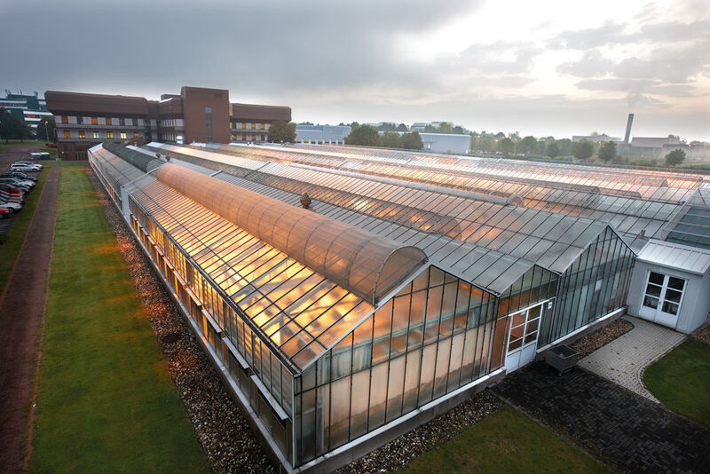 Die Zentrale von Bayer Crop Science in Monheim, Deutschland: Blick auf die beleuchteten Gewächshäuser des Instituts für Pflanzenkrankheiten. (Bild: Bayer Crop Science)