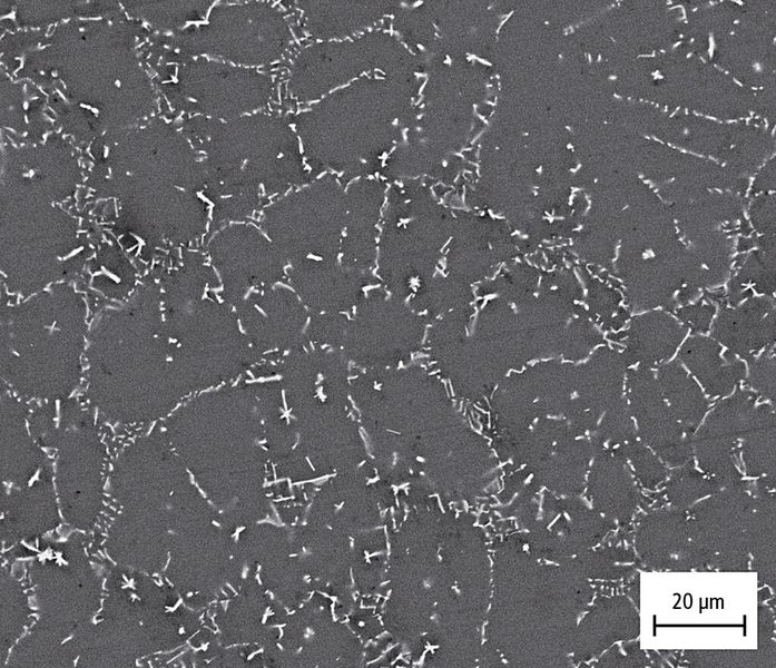 Bild 3: Aufgrund der geringen Löslichkeit von Kobalt in Magnesium entstehen in einer binären Magnesium-Kobalt-Legierung eutektische Kobaltausscheidungen (helle Bereiche, REM-Aufnahme). (Bild: IW)