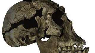 Zum Einsatz kamen Artec Eva und Artec Spider. Auch bewegliche Objekte stellen für die Scanner kein Problem dar. (Artec)