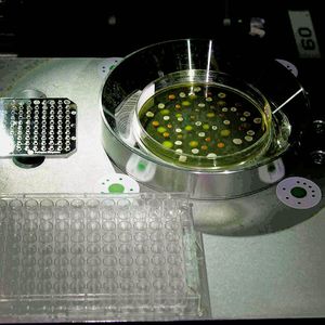 Abb.1: Die Kernkomponenten des Mirob
Rechts oben befindet sich die Petrischale, deren seitlicher Barcode über einen Spiegel durch die Kamera ausgelesen werden kann. Links daneben befindet sich das MALDI-TOF Target, darunter die Mikrotiterplatte zur Animpfen einer Flüssigkultur. Die Objekte befinden sich auf einem beweglichen, hochgenauen Positioniertisch.