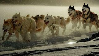 In DevOps-orientierten Unternehmen ist der Teamgedanke eine wichtige Grundeigenschaft. (Bild gemeinfrei: cocoparisienne)