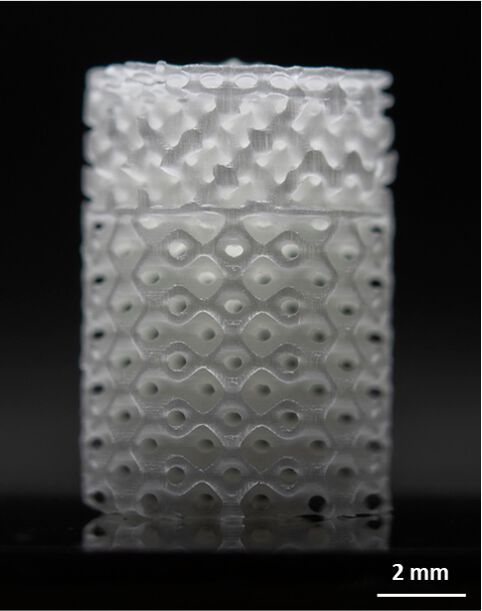 (Bild:  Heiligenstadt e.V)