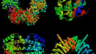 20 300 unterschiedliche Proteine enthält das menschliche Proteom. (Bildquelle: www.hlifemedia.com) (Archiv: Vogel Business Media)