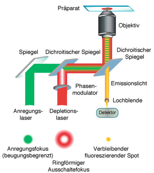 Abb. 1: Funktionsprinzip der STED-Mikroskopie (Bild: Leibniz-Institut für Ostseeforschung/Universitätsmedizin Göttingen)