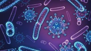 Bakterien und Viren (Symbolbild) (Bild: © Inna - stock.adobe.com.jpeg)
