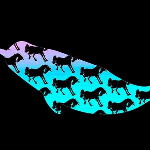 Die Narwale (bis 1.500 kg) und die Einhörner (Gewicht unbekannt) Als Einhörner (oder Narwale, wenn es sich um kanadische Unternehmen handelt) werden jene Start-ups bezeichnet, die einen Marktwert von mehr als einer Milliarde US-Dollar erreicht haben und nach 1999 gegründet wurden. Bekannte Beispiele wie Airbnb oder Uber zeigen, weshalb sie sich in einer umkämpften Umwelt durchsetzen konnten: In der Regel schaffen sie mit innovativen Neukombinationen Märkte, die die etablierten Player übersehen haben. Einhörner erkennen früh neu entstandene Märkte mit wenig Konkurrenz und zeichnen sich durch intelligente Innovationen (Technologie, Produkt und/oder Geschäftsmodell) mit einem zumindest zeitweiligen Alleinstellungsmerkmal aus.(Bild:  gemeinfrei © Clker/FreeVectroImages /  Pixabay)