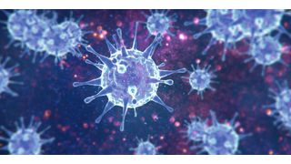 0110678904 (Bild: © Thaut Images - stock.adobe.com)