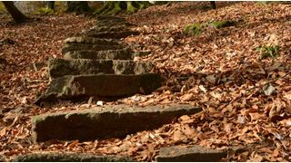 Der Weg bis zum erfolgreich realisierten IoT-Projekt ist oftmals rau. Stolpersteine erschweren die Zielerreichung und mindern die Erfolgschancen. (www.pixabay.com)