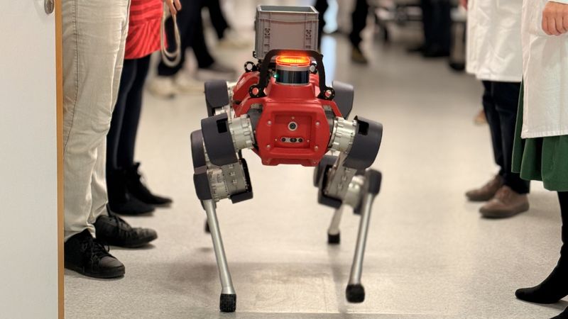 Debüt des Robo-Dogs Helia (kurz für Helfender Roboter im Klinikalltag) auf der Station H21/22 der Uniklinik Würzburg. (Bild:  UKW)