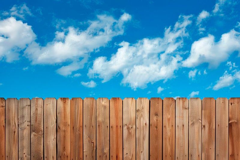 Eine digitale Welt ohne Gefahren: Diese Vorstellung gleicht einem Schlaraffenland. Doch wer im Vorfeld gut plant, den kann auch eine Cyberattacke nicht allzu sehr aus der Bahn werfen. Entscheider sollten nur wissen wie – und aktiv handeln.(Bild:  notarobotyet - stock.adobe.com)