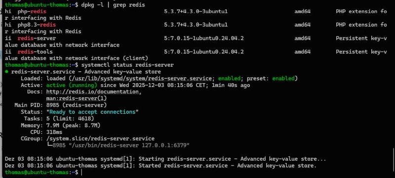 Überprüfen der Redis-Installation unter Nextcloud. (Bild: Joos - Nextcloud)