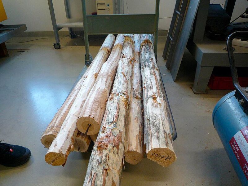 Holz ist ein Hochleistungswerkstoff, ... (FH Johanneum)