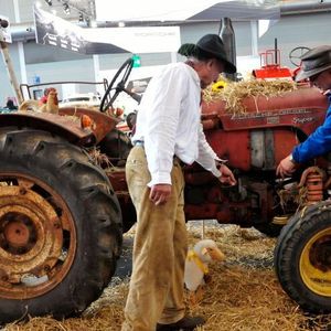 (Messe Friedrichshafen)