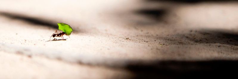 Die Vorbereitung der Supply Chain auf das Unvorhersehbare könnte zu einem der wichtigsten Trends in 2019 werden.(Bild:  Photo by Vlad Tchompalov on Unsplash)