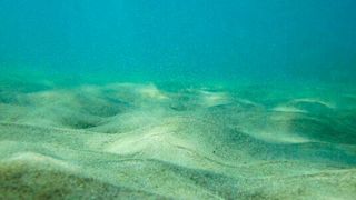 Der Großteil der Plastikverschmutzung liegt unsichtbar auf dem Meeresboden. Eine neue Monitoring-Technologie soll das aufdecken. (Bild: gemeinfrei)