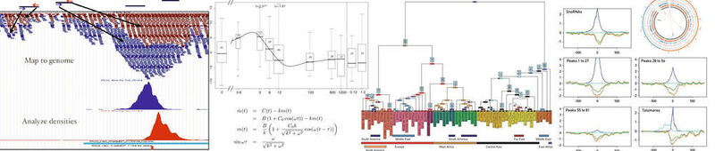 Abb.2: Visualisierung verschiedener bioinformatischer Daten (Bild: Bioinformatics and Biostatistics Core Facility)