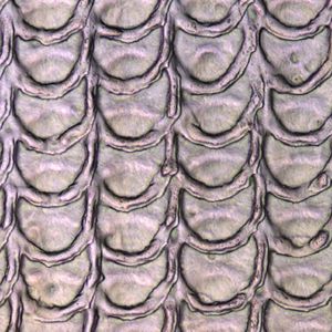 (Interferometer-Aufnahme: Christian Greiner, KIT)