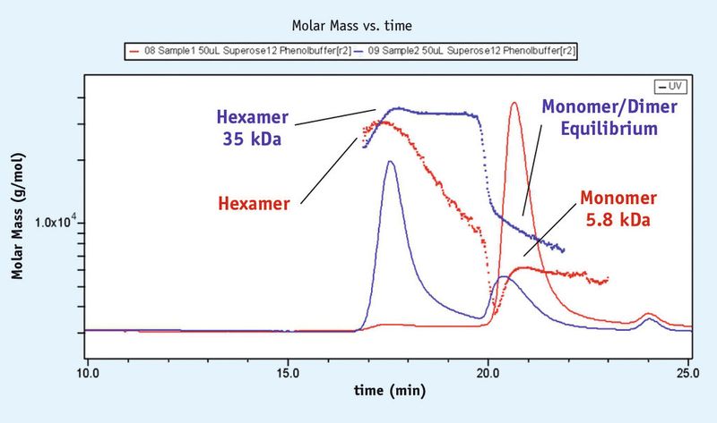 Abb. 3: Plot Molmasse gegen Zeit, Proben 1 und 2 (Monomer, Dimer, Hexamer): Das UV-Signal bei 280 nm ist darüber gelegt, Bestimmung der Molmassen mit Daten aus RI- und LS-Messungen. (Bild: Wyatt)