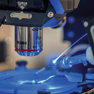 (© Pascal Gugler für Insel Gruppe)