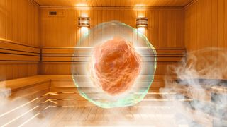 Abb.1: Auch Zellen wollen umsorgt werden. In Inkubatoren bekommen sie sozusagen das Pendant zu einer Wellness-Behandlung: eine ideale Wohlfühl-Kombi aus Temperatur, Feuchtigkeit Licht usw. (Bild: © timofeev, vipman4 - stock.adobe.com; [M]VCG)