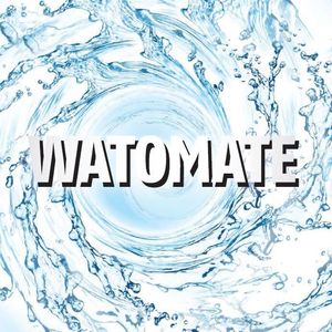The Indian Ministry of Water Resources plans to invest $50 billion in the water sector in the coming years. This is good news for automation players in this segment.