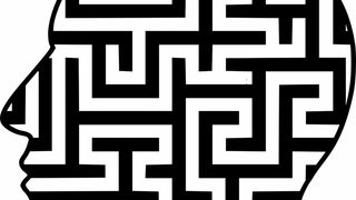 Bei einem DMAS handelt es sich um eine Hierarchieform, die mindestens zwei Ordnungsebenen besitzt. (Bild: Privatinstitut für Allgemeine Dynamische Logik)