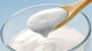 So genannte Bitterpetide können Milchprodukte wie Joghurt bitter schmecken lassen. (©Nishihama - stock.adobe.com)