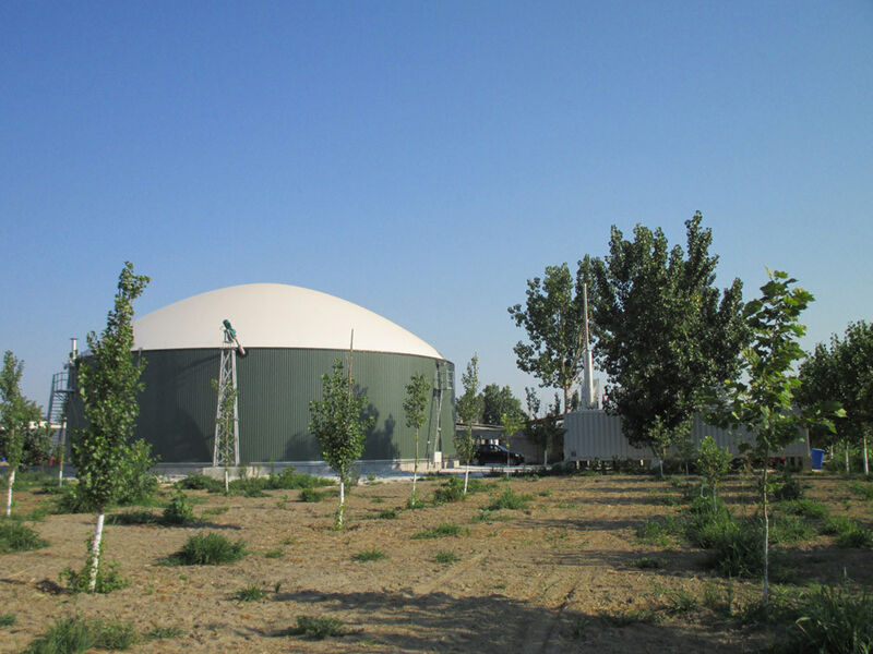 Weltec has set up seven stainless-steel biogas plants with a total capacity of 2.75 MW in Greece so far. (Picture: Weltec Biopower)