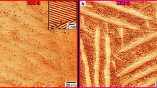 Schmilzt, wenn es kalt wird! Aufnahmen per Rastertunnelmikroskop zeigen, wie Molybdänacetat-Moleküle bei etwa 27 °C  (300 Kelvin) noch geordnet sind (links), bei -53 °C (220 Kelvin) ihre Kettenstruktur aber verloren geht. Dennoch nimmt die Entropie ab. (Uni Bielefeld / A. Kühnle)