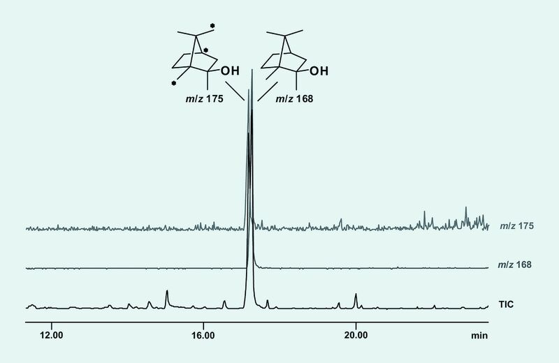 3	 Ausschnitt eines Totalionenstromchromatogramms (TIC) mit markiertem (m/z 175) und unmarkiertem (m/z 168) 2-Methylisoborneol (Archiv: Vogel Business Media)