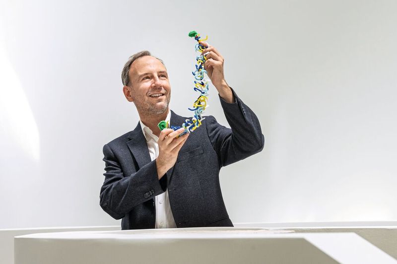 Oliver Lieleg, Professor für Biomechanik an der Technischen Universität München (TUM) hat einen Film zur Wundheilung entwickelt, der besonders viele Eigenschaften kombiniert. Prof. Lieleg zeigt ein Modell eines Mucins. Dies sind Moleküle, die natürlicherweise in Schleimhäuten vorkommen und nun zum ersten Mal in einem pflasterartigen Film zur Wundheilung eingesetzt wurden.   (Bild: Astrid Eckert / TUM )