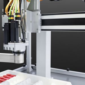 In Verbindung mit einer Lineareinheit erhält der Anwender mit dem Rotary-Arm ein schnelles Pick-&-Place-System.