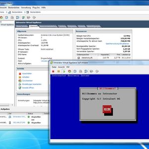 Die textbasierte Gundkonfiguration der genügsamen virtuellen Appliance erfolgt in einer Konsolensitzung des VMware vSphere Clients.