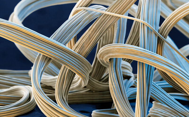 Spandex-Fasern sorgen seit über vierzig Jahren für dauerhafte Elastizität vieler Textilien, wie Badeanzügen, Sportkleidung und Strumpfhosen. Unter dem Elektronenmikroskop wird sichtbar, dass die Fasern aus mehreren Filamenten bestehen. Ein Grundstoff dieser Fasern ist PolyTHF®, das die BASF an die Faserhersteller liefert. Vergrößerung 55 :1 (bei 12cm Bildbreite). (Bild: BASF)