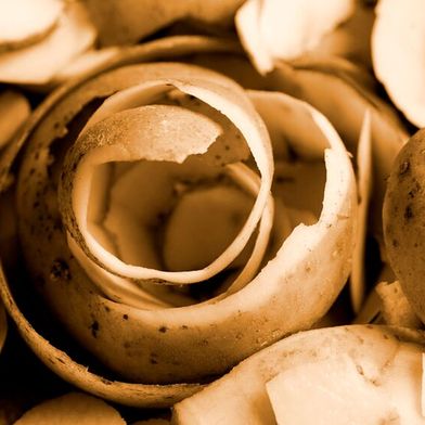 Mit „grüner Chemie“ entwickeln vier Nachwuchsforschende an der TU Freiberg innovative Verfahren, um landwirtschaftliche Reststoffe in Membranen und Beschichtungen umzuwandeln. (Bild: frei lizenziert)