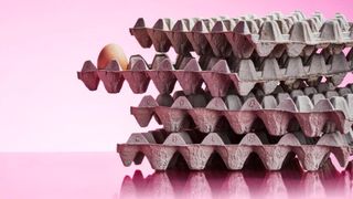 Ei, Ei, Ei! Die Omni-Pac Group ist ein bekannter Hersteller von sogenannten „Molded Fiber“-Verpackungen, wie sie hier zu sehen sind. Jetzt kooperiert das Unternehmen mit HP, um seine Produktion zu digitalisieren, damit etwa die CO2-Emissionen reduziert werden. (Bild: Omni-Pac Group)