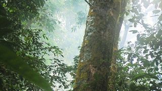  (gemeinfrei, stokpic / Pixabay)