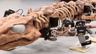 Robotik-Studie für Morgen nach biologischem Urzeit-Vorbild: Für ein flüssiges Bewegungsbilld sorgen 28 Aktoren in Beinen und Wirbelsäule des Orobates-Roboters. (Maxon)