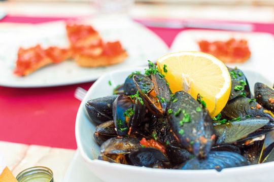 Miesmuscheln gehören zu den beliebtesten Meeresfrüchten in der EU. Doch sie sind oft mit Mikroplastik kontaminiert (Symbolbild). Miesmuscheln gehören zu den beliebtesten Meeresfrüchten in der EU. Doch sie sind oft mit Mikroplastik kontaminiert (Symbolbild).