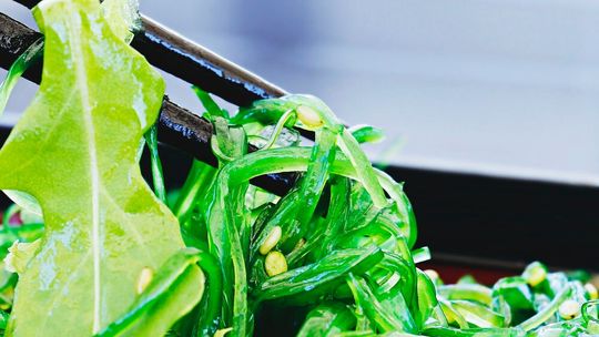 Forscher GMBU haben eine Wasseraufbereitungsanlage entwickelt, die in der Region Saale-Unstrut einsatzbereit ist. (Bild:  frei lizenziert /  Pixabay)