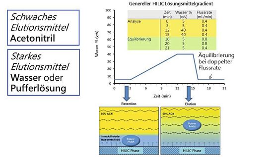 Abb.2: Elutionsgradienten aus einer Mischung von Wasser und Acetonitril als Einstieg zur Methodenentwicklung in der HILIC mit Einordnung der Elutionsstärke und Skizze des entsprechenden Mechanismus. (Bild:  AFIN-TS)