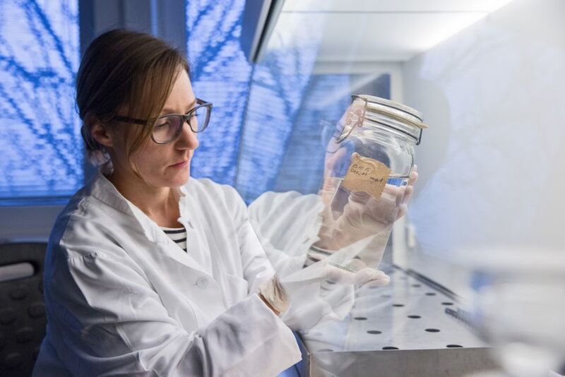 Julia Gütermann untersucht im Labor am AWI Helgoland eine Meerwasserprobe nach Mikroplastikpartikel.  (Alfred-Wegener-Institut / Tristan Vankann)