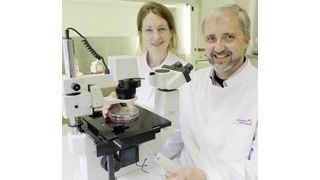 Am Mikroskop: Dr. Dorothea Becker und Prof. Dr. Wolfgang Voos. (Bild: Meike Böschemeyer/Uni Bonn)