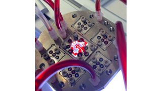 The microchip was designed at the Artorg Center and fabricated at the OST University of Applied Sciences. The team uses it to study the fluid mechanics within the smallest blood vessels.  (Source:  © Yannik Rösch)