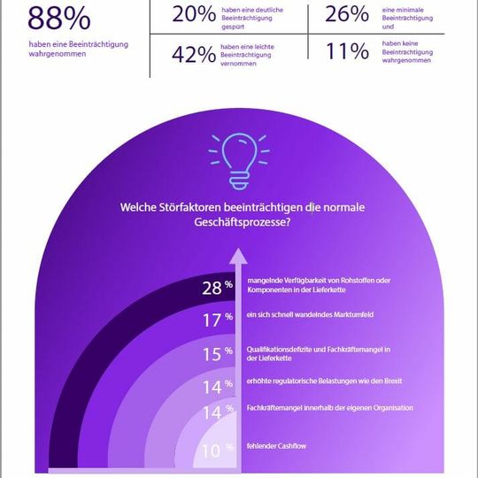 (Störfaktoren, die den Ablauf der Geschäftsprozesse beeinträchtigen. (Bild: IFS))
