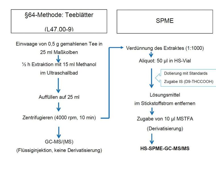Abb. 2: Aufarbeitungsschema für Hanfblätter (LUA Sachsen/TU Dresden)
