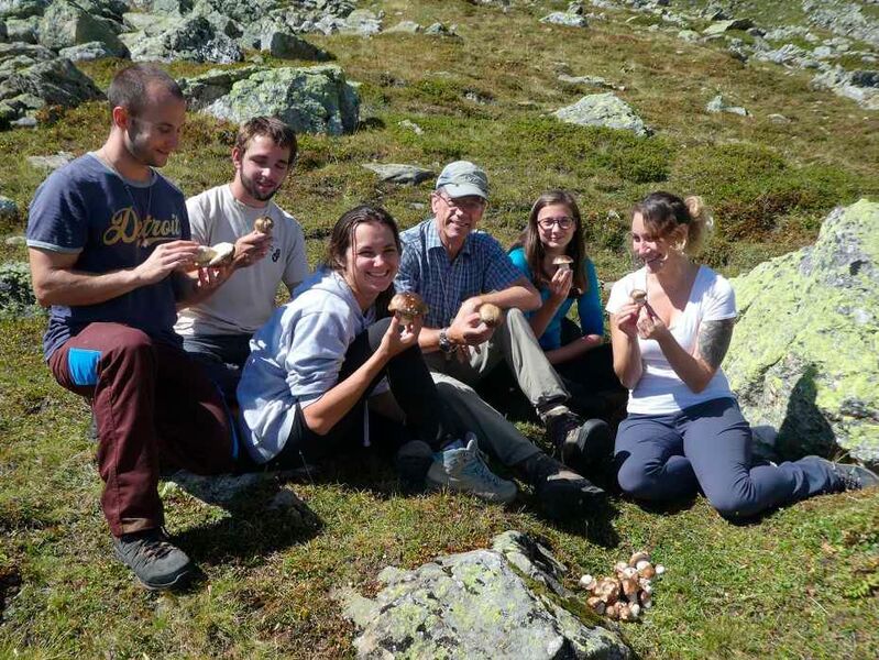 Adrian Leuchtmann (mit Mütze) und Artemis Treindl (r.) mit Studierenden beim Sammeln alpiner Steinpilze (Artemis Treindl/ETH Zürich)