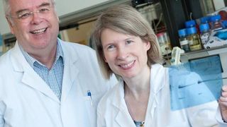 Prof. Peter Gierschik, Leiter des Ulmer Instituts für Pharmakologie und Toxikologie, und Dr. Claudia Walliser haben die Funktion des Rac-Proteins aufgeklärt. (Bild: Universität Ulm)